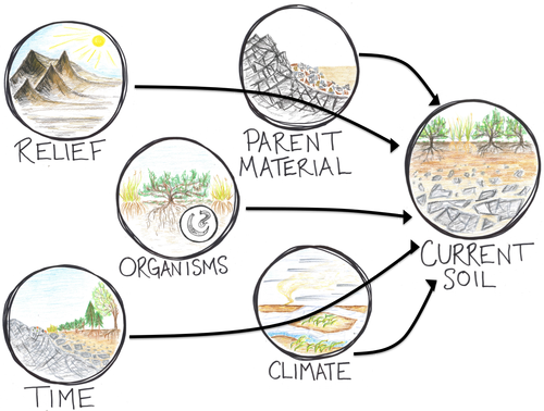 Soil-forming-factors.png