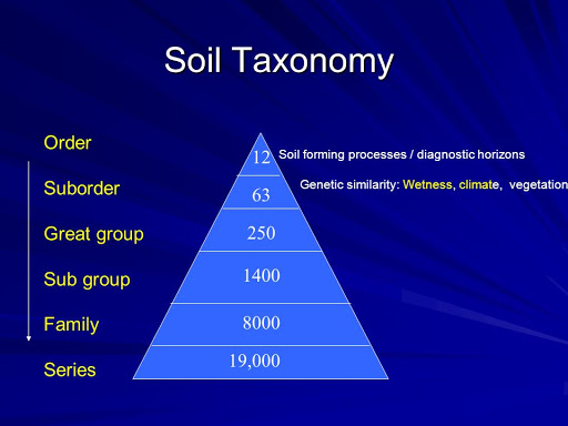 SoilTaxonomyPic.jpg