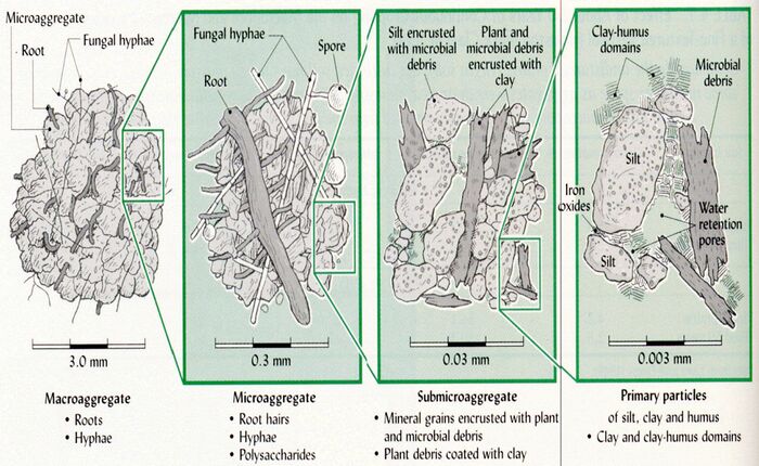 Soil agg.jpg