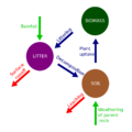 800px-Nutrient cycle.svg.png
