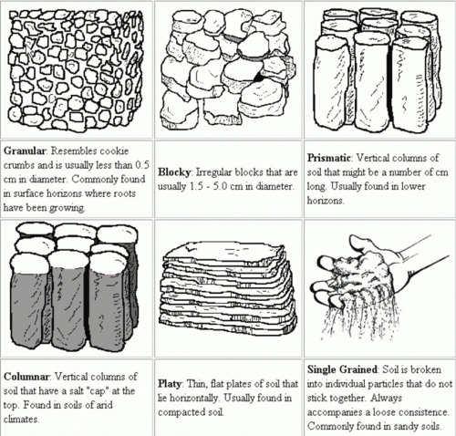 Soil structure.gif