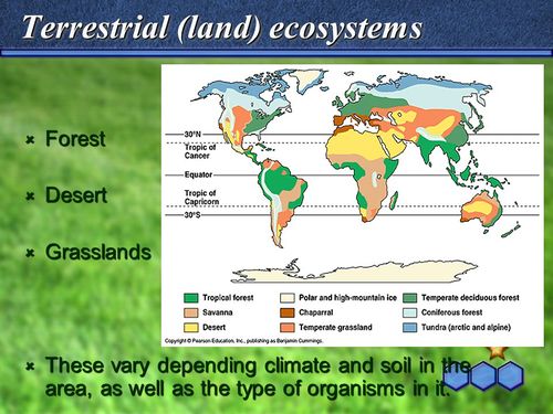 Terrestrial+(land)+ecosystems.jpg