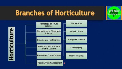 Horticulture3.jpeg