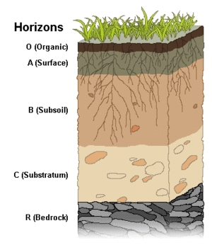 soil profile diagrams labelling