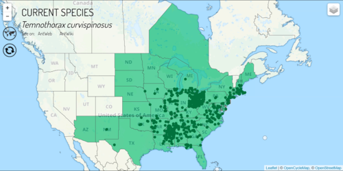 Acorn ant map.PNG